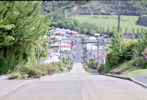 NZ-19-0008