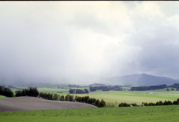 NZ-19-0014