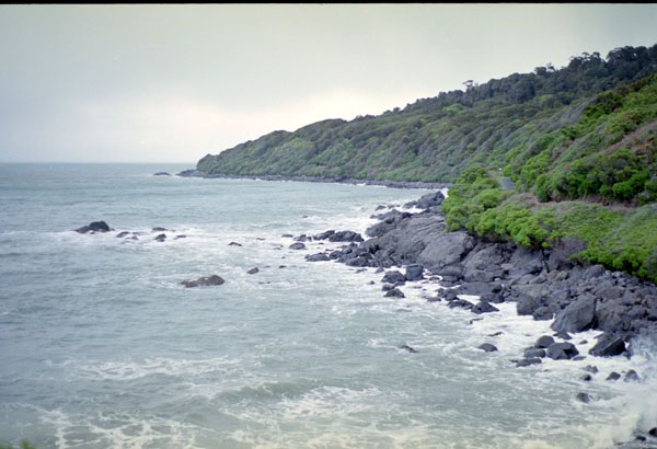 NZ-19-0015