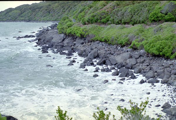 NZ-19-0016