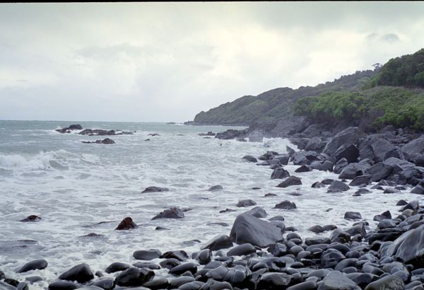 NZ-19-0020