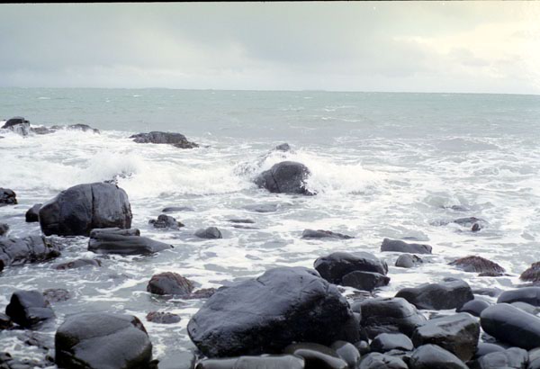 NZ-19-0021