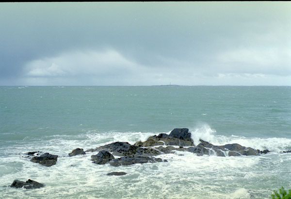 NZ-19-0024
