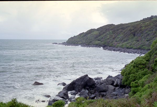 NZ-19-0025