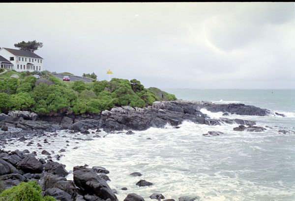NZ-19-0026