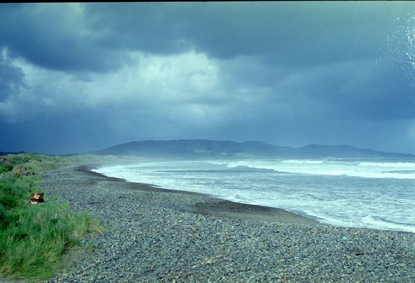 NZ-19-0033