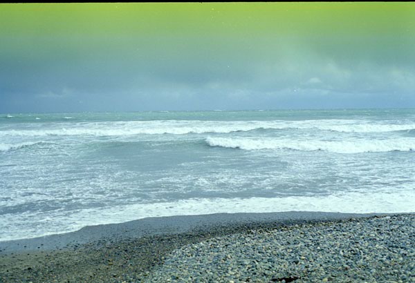 NZ-19-0035