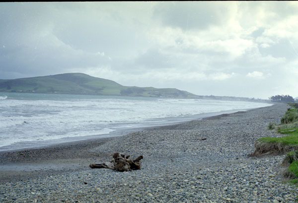 NZ-19-0036