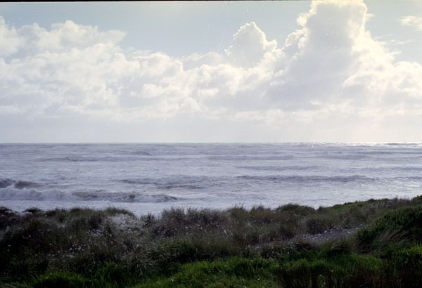 NZ-19-0037