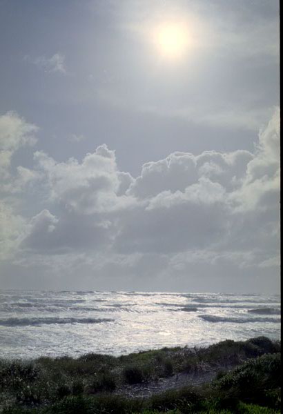 NZ-20-0002
