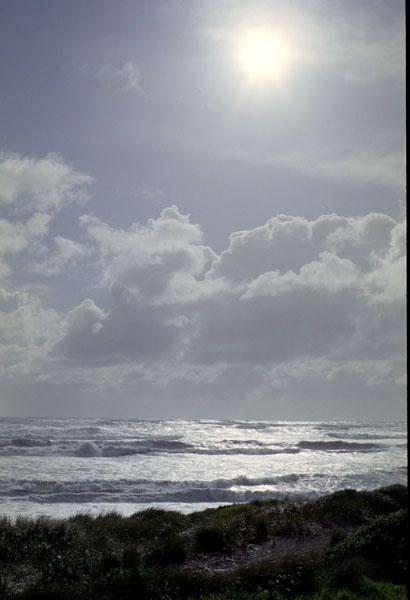 NZ-20-0003