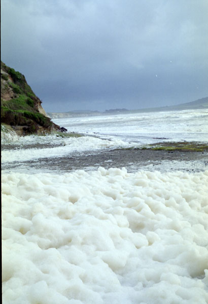 NZ-20-0008
