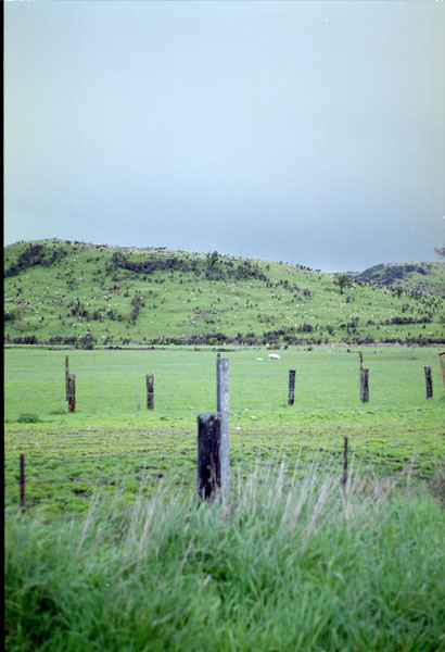 NZ-20-0014