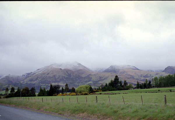 NZ-20-0016