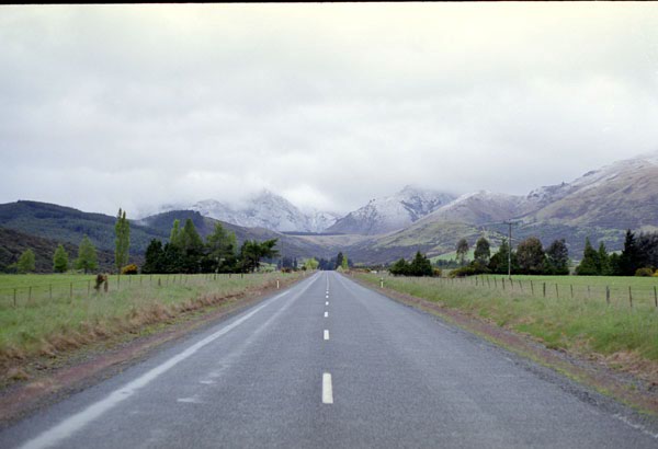NZ-20-0017
