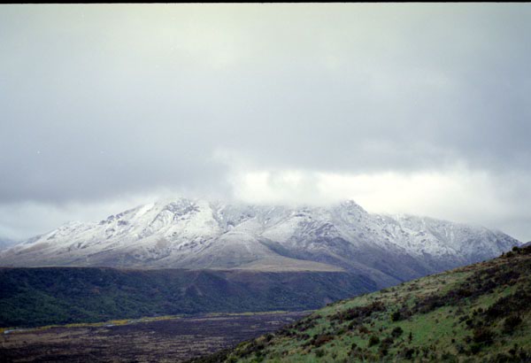 NZ-20-0019