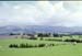 NZ-19-0011