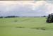 NZ-19-0012