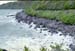 NZ-19-0016