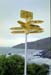NZ-19-0017