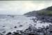 NZ-19-0020