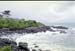 NZ-19-0026