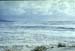 NZ-20-0005