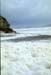 NZ-20-0008