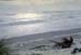 NZ-20-0009