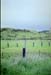 NZ-20-0014