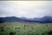 NZ-20-0015