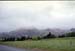 NZ-20-0016