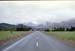 NZ-20-0017