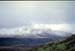 NZ-20-0019