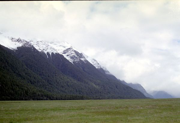 NZ-20-0021