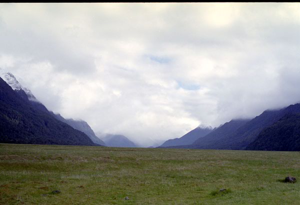 NZ-20-0022