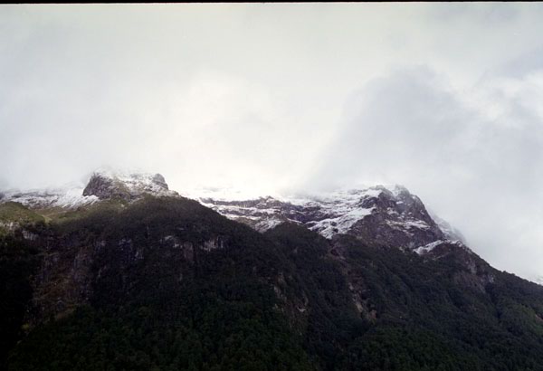 NZ-20-0024