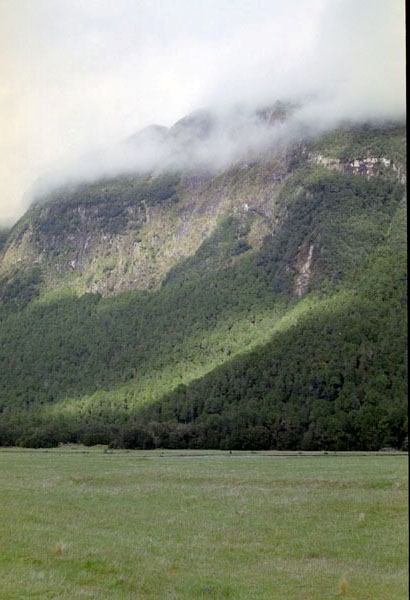NZ-20-0025