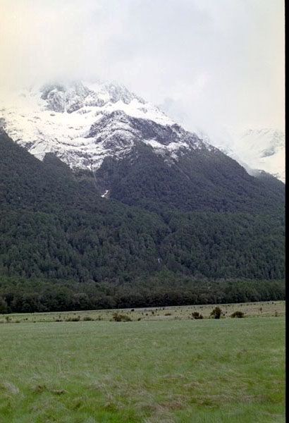 NZ-20-0026