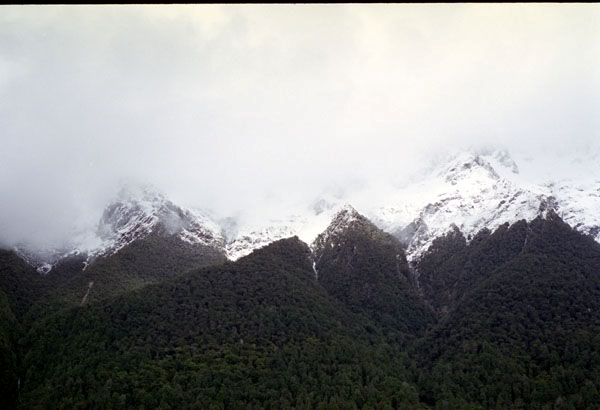 NZ-20-0027
