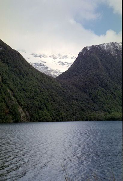 NZ-20-0028