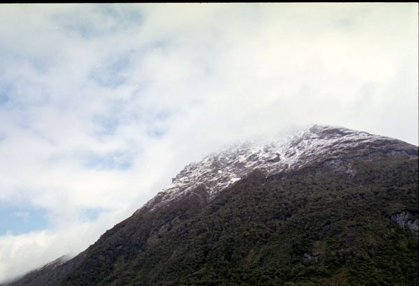 NZ-20-0031