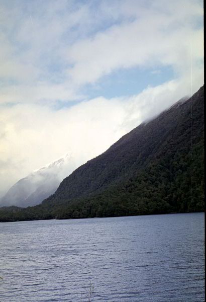 NZ-20-0032