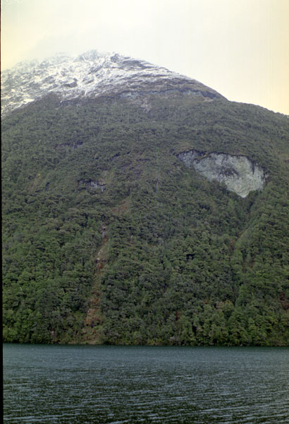 NZ-20-0033