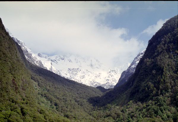 NZ-20-0034