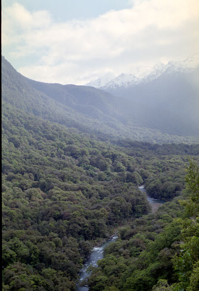 NZ-20-0035