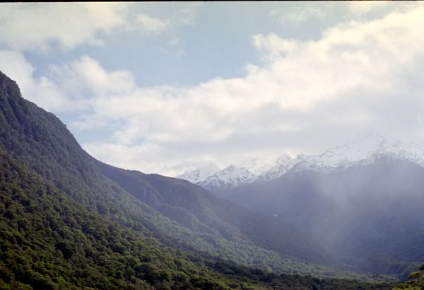 NZ-20-0036