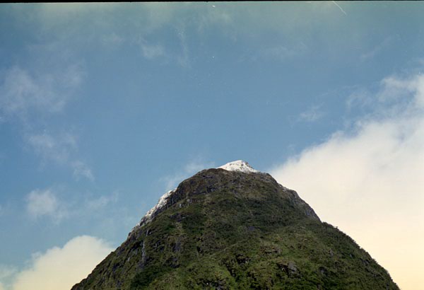 NZ-20-0037