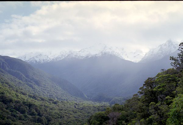 NZ-21-0003