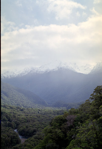 NZ-21-0004